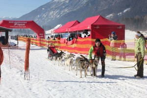 Schneebedeckte Winterkulisse für die Husky- und Hunderennen 2016 am Angerberg.