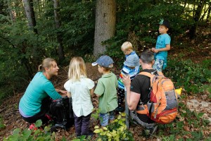 Erlebnispädagogik in der Natur bietet die Alpenvereinssektion Wörgl-Wildschönau für 3- bis 6-jährige Kinder. Foto: ÖAV