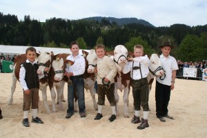 Für die "Bambinis" gibt´s eine eigene Wertungskategorie. Foto: Rinderzuchtverband Tirol