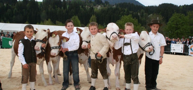 Für die "Bambinis" gibt´s eine eigene Wertungskategorie. Foto: Rinderzuchtverband Tirol