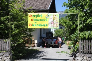 Tag des offenen Bienenstockes in Kirchbichl am 22.5.2016. Foto: Veronika Spielbichler