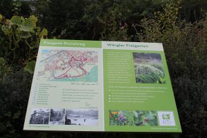 Wörgler Freigarten 5. Oktober 2016. Foto: Veronika Spielbichler