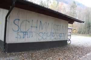 40. Unterinntaler Fuchsjagd des Reitvereines Inntal am 5.11.2016 in Wörgl und Kundl. Foto: Veronika Spielbichler