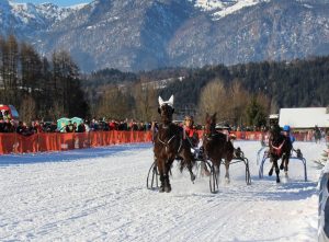 Pferderennen Wörgl 2017. Foto: Wilhelm Maier