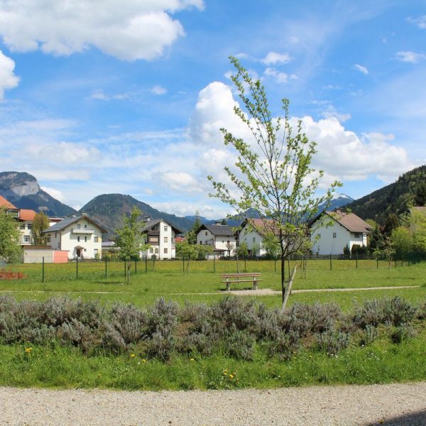 Stadtpark im Fischerfeld im Mai 2017.
