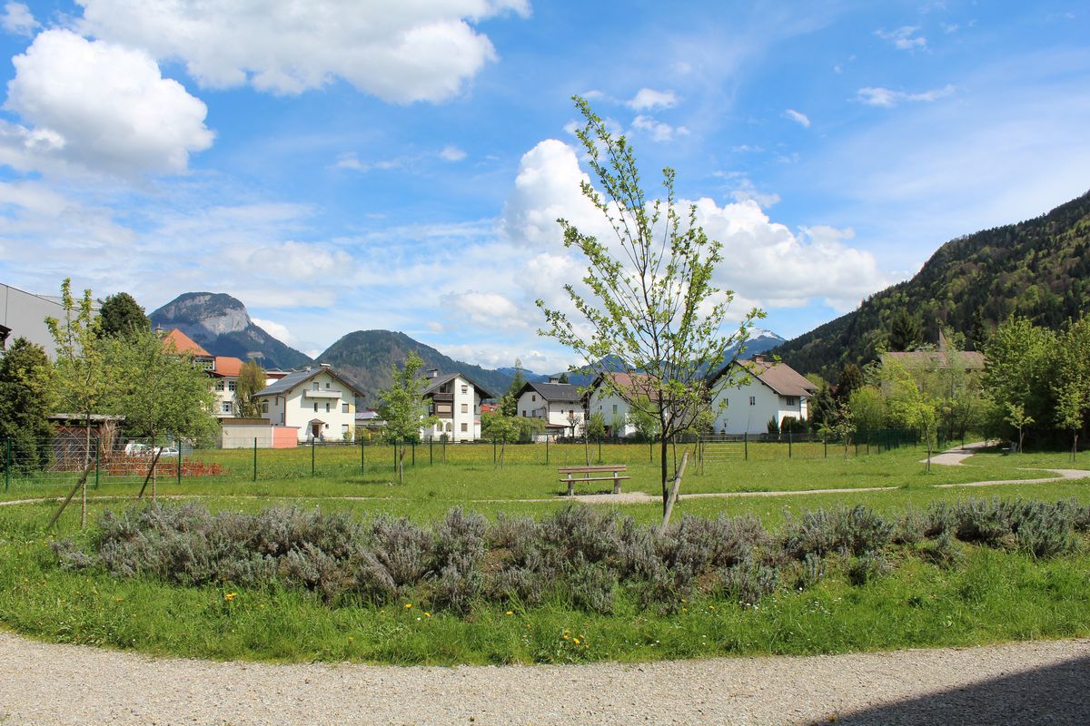 Stadtpark im Fischerfeld im Mai 2017.