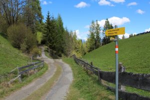 Neuer Forstweg Wörgl-Lahntal - Zauberwinkl im Mai 2017. Foto: Veronika Spielbichler