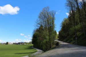 Neuer Forstweg Wörgl-Lahntal - Zauberwinkl im Mai 2017. Foto: Veronika Spielbichler