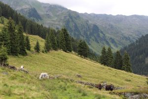 Stationen-Theater auf der Alm in der Kelchsau am 23. Juli 2017. Foto: Veronika Spielbichler