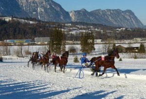Am 28. Jänner 2018 finden auf der Rennbahn beim Schadlhof in Wörgl-Lahntal wieder die Pferderennen auf Schnee statt. Foto: ofp kommunikation gmbh