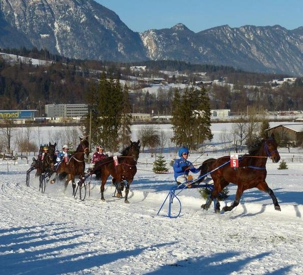 Am 28. Jänner 2018 finden auf der Rennbahn beim Schadlhof in Wörgl-Lahntal wieder die Pferderennen auf Schnee statt. Foto: ofp kommunikation gmbh