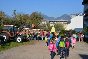 Aktionstag "Landwirtschaft macht Schule" beim Unterkrumbacher Bauern in Wörgl am 16.10.2018. Foto: Veronika Spielbichler
