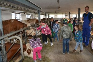 Aktionstag "Landwirtschaft macht Schule" beim Fohring-Bauern in Wörgl-Boden am 18.10.2018. Foto: Veronika Spielbichler