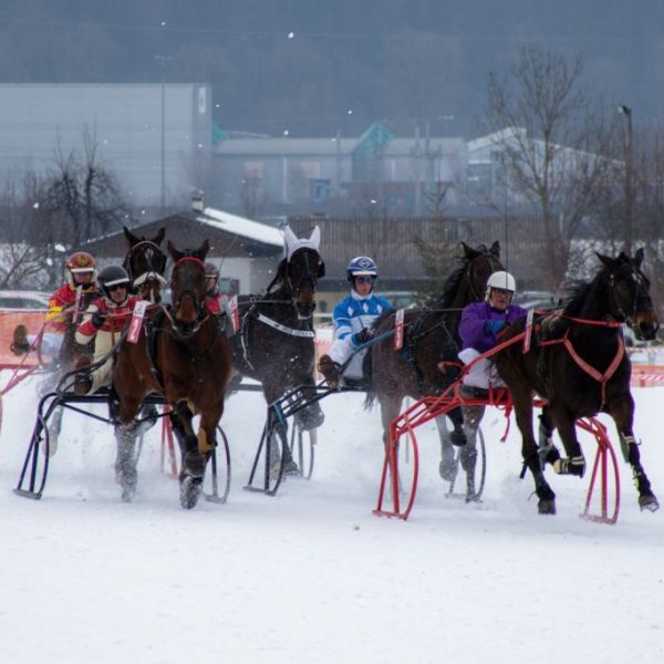 Am 27. Jänner 2019 findet in Wörgl ab 13:30 Uhr erneut das Trabrennen auf Schnee statt. Bildnachweis: Trabrennverein Wörgl