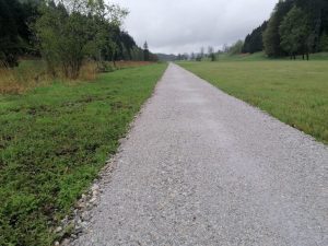 Dieser Schotterweg durchs Feuchtbiotop ist Stein des Anstoßes für die Grünen. Foto: Iris Kahn