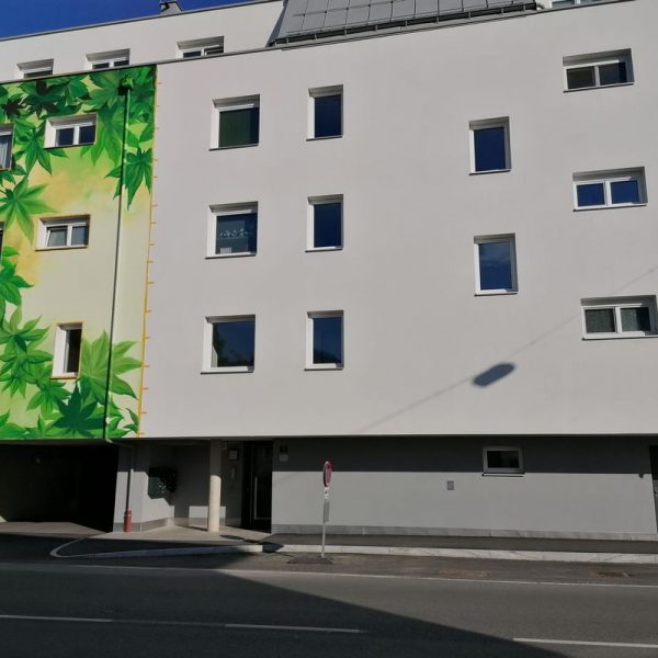 Kein Scherz - so wird "Fassadenbegrünung" in Wörgl umgesetzt. Foto: Richard Götz