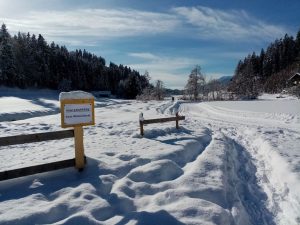 Wanderweg Moosbachtal Mariastein Angerberg Jänner 2021. Foto: Veronika Spielbichler