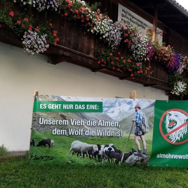 Banner "Alm ohne Wolf" im Juli 2021 in der Wörgler Bahnhofstraße. Foto: Veronika Spielbichler