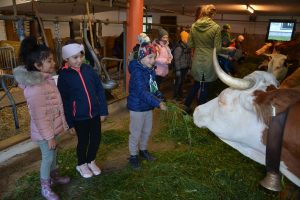 Landwirtschaft zum Anfassen mit den Wörgler Bäuerinnen am 15.10.2021 am Unterkrumbacherhof in Wörgl. Foto: Veronika Spielbichler
