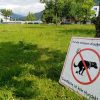 Jetzt noch tabu für Hunde - geht es nach dem Wunsch des Gemeinderates, wird sich hier bald ein eingezäuntes Freilauf-Areal für Hunde befinden. Foto: Veronika Spielbichler