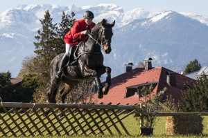 Ein Pferdesport-Event wird auch heuer die 46. Unterinntaler Fuchsjagd am 4. November 2023. Foto: Katharina Delfs