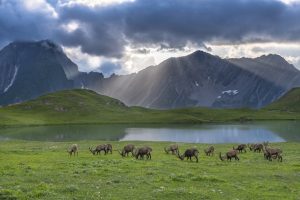 Heinz Zak zeigt am 7. März 2024 Tirols Bergwelt von ihrer schönsten, faszinierendsten Seite. Foto: Heinz Zak