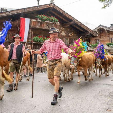 Der Tourismusverband Region Hohe Salve in den Kitzbüheler Alpen organisiert auch 2024 eine Reihe von Almabtriebsfesten samt Rahmenprogramm. Foto: Alexander Amer