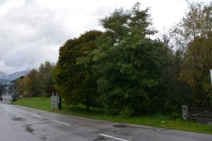 Hagleitner Straße in Wörgl Oktober 2024. Foto: Veronika Spielbichler