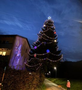 Wörgls schönster open-air-Christbaum steht 2024 in Söckingen! Foto: Sandro Permoser