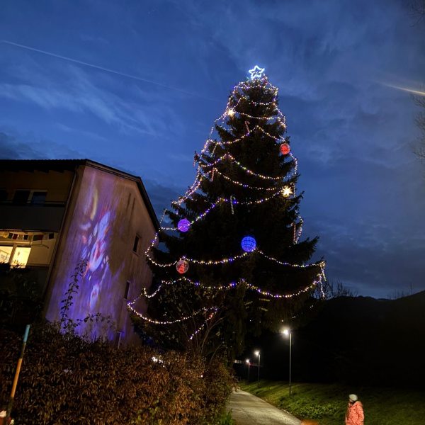 Wörgls schönster open-air-Christbaum steht 2024 in Söckingen! Foto: Sandro Permoser