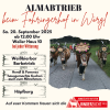 Almabtrieb 2025 beim Fohringerhof in Wörgl. Foto: Jungzüchter Kufstein Rinderzucht.Tirol