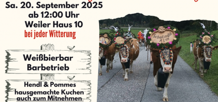 Almabtrieb 2025 beim Fohringerhof in Wörgl. Foto: Jungzüchter Kufstein Rinderzucht.Tirol