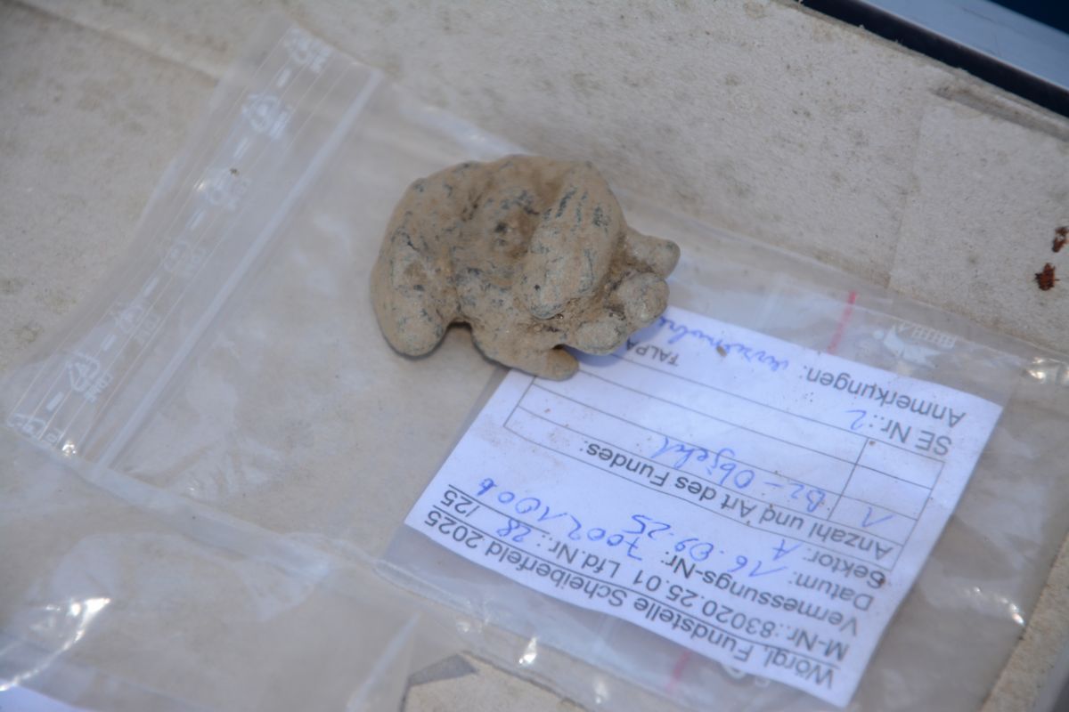 Archäologische Ausgrabungen am Scheiberfeld in Wörgl am 18.9.2025. Foto: Veronika Spielbichler