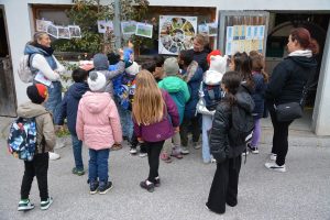 Bäuerinnen-Aktionstag "Schule am Bauernhof" 17. Oktober 2025. Foto: Veronika Spielbichler