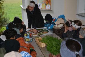 Bäuerinnen-Aktionstag "Schule am Bauernhof" 17. Oktober 2025. Foto: Veronika Spielbichler