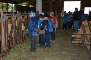 Bäuerinnen-Aktionstag "Schule am Bauernhof" 17. Oktober 2025. Foto: Veronika Spielbichler