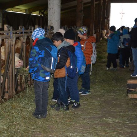 Bäuerinnen-Aktionstag "Schule am Bauernhof" 17. Oktober 2025. Foto: Veronika Spielbichler