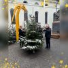 Im Vorjahr wurde in Wörgl erstmals ein Weihnachtsbaum in Erinnerung an Sternenkinder aufgestellt. Foto: privat