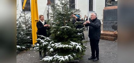 Im Vorjahr wurde in Wörgl erstmals ein Weihnachtsbaum in Erinnerung an Sternenkinder aufgestellt. Foto: privat