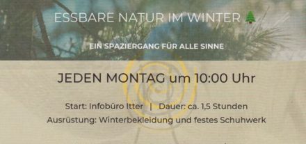 Die Natur im Winter entdecken - bei Waldspaziergänge von Johanna Obwaller. Grafik: Obwaller