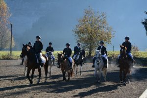 48. Unterinntaler Fuchsjagd am 8.11.2025. Foto: Veronika Spielbichler