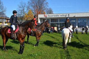 48. Unterinntaler Fuchsjagd am 8.11.2025. Foto: Veronika Spielbichler