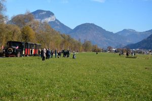 48. Unterinntaler Fuchsjagd am 8.11.2025. Foto: Veronika Spielbichler