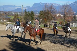 48. Unterinntaler Fuchsjagd am 8.11.2025. Foto: Veronika Spielbichler