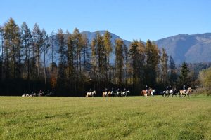 48. Unterinntaler Fuchsjagd am 8.11.2025. Foto: Veronika Spielbichler