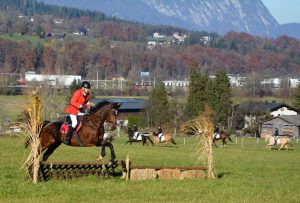 48. Unterinntaler Fuchsjagd am 8.11.2025. Foto: Veronika Spielbichler