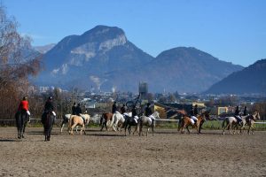 48. Unterinntaler Fuchsjagd am 8.11.2025. Foto: Veronika Spielbichler