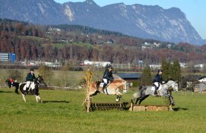 48. Unterinntaler Fuchsjagd am 8.11.2025. Foto: Veronika Spielbichler