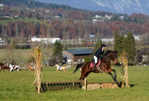 48. Unterinntaler Fuchsjagd am 8.11.2025. Foto: Veronika Spielbichler