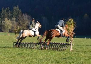 48. Unterinntaler Fuchsjagd am 8.11.2025. Foto: Veronika Spielbichler